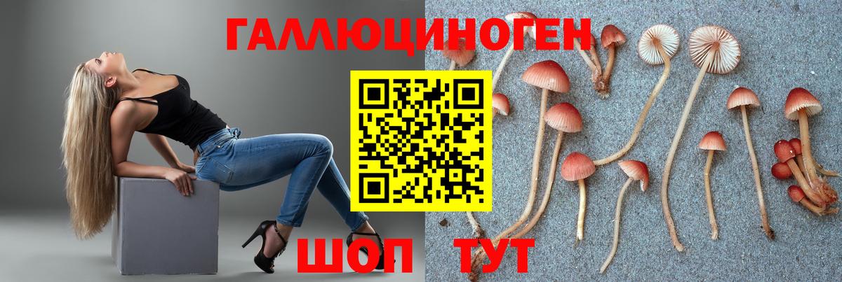 Псилоцибиновые грибы Psilocybine cubensis  Псилоцибиновые грибы Psilocybe  Вход с VPN  Копейск 